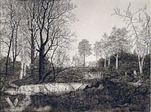 Image description is not available for FIC.052